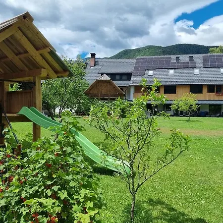 Pr 'Agotnik Apartments & Rooms Bohinj Exterior photo